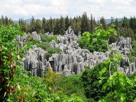 Du ngoạn rừng đá - 11 An Tử